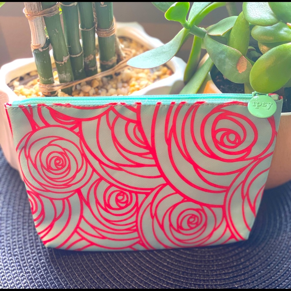 Ipsy Makeup Bag